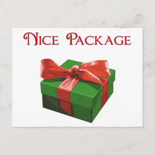 Nice Package Christmas Present Holiday Postcard