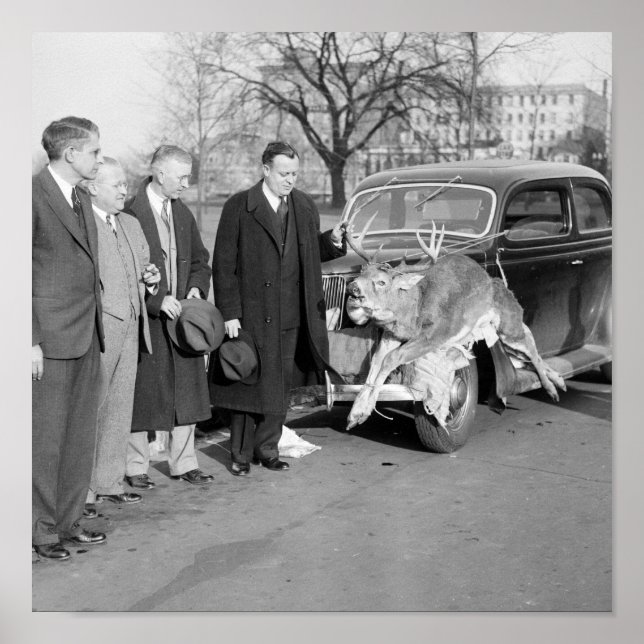 Nice Rack, 1938 Poster (Front)