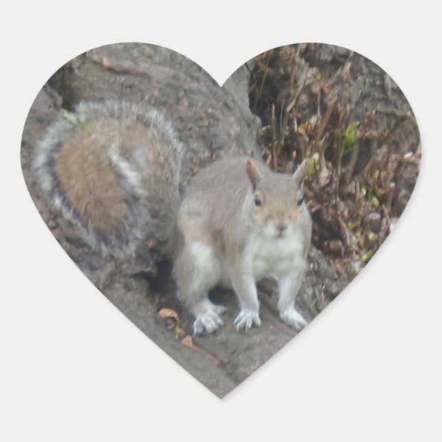 Nice Squirrel Heart Sticker (Front)