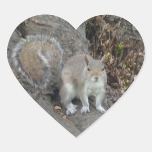 Nice Squirrel Heart Sticker