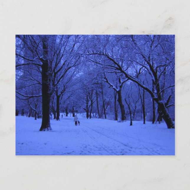 NICE WALK POSTCARD (Front)