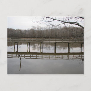 Nice walk postcard