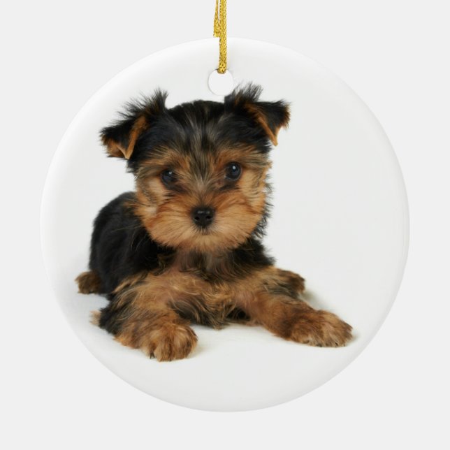 Nice yorkie ceramic tree decoration (Back)