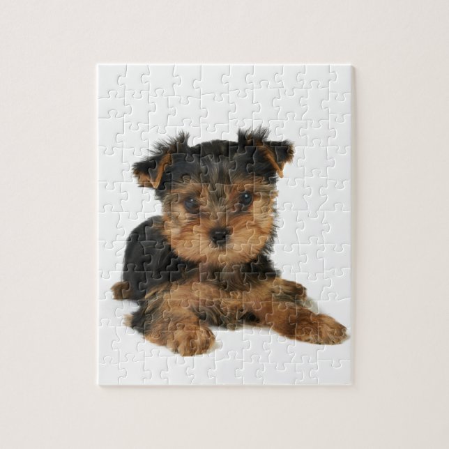 Nice yorkie jigsaw puzzle (Vertical)