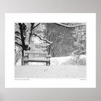 Nichols Arboretum #1 Poster