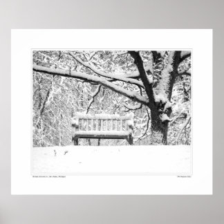 Nichols Arboretum #5 Poster