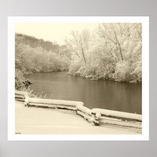 Nichols Arboretum Poster