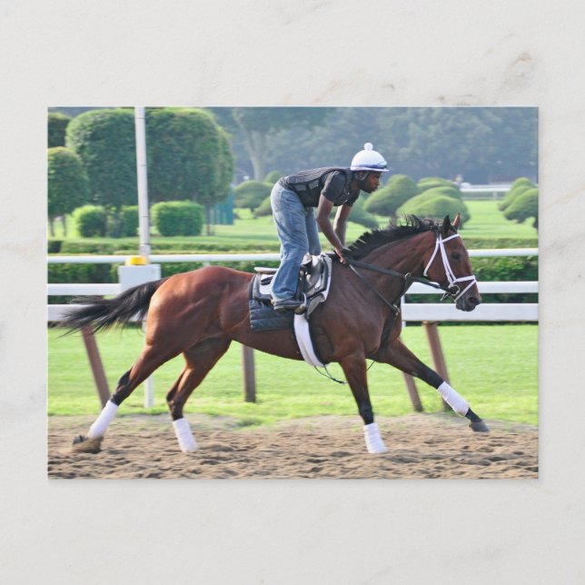 Nick Bush and Todd Pletcher Workouts Postcard (Front)