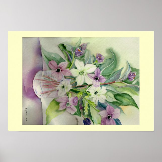Nicotiana Bouquet Poster (Front)