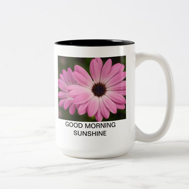nifss Two-Tone coffee mug (Right)