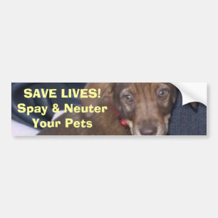 Nigel says:  SAVE LIVES! Spay & NeuterYour Pets Bumper Sticker