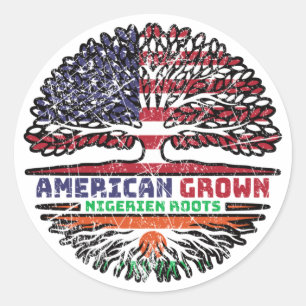 Niger Nigerien American USA Tree Roots Flag Classic Round Sticker