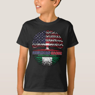 Nigeria Nigerian US American USA United States T-Shirt