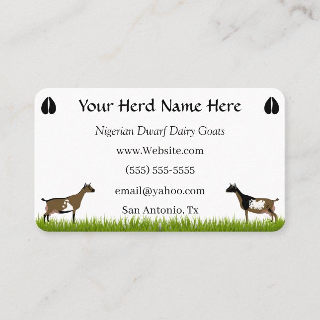Nigerian Dwarf Dairy Goat Business Card (Front)