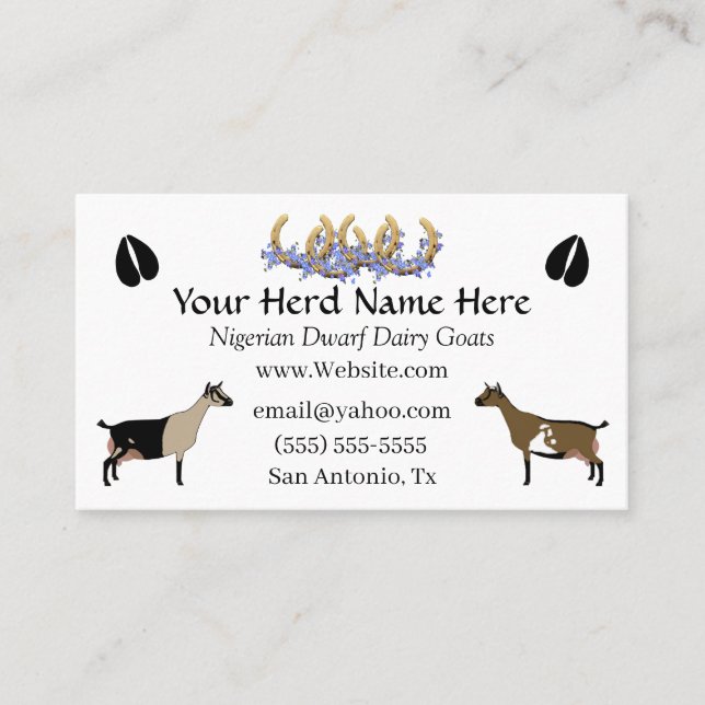 Nigerian Dwarf Dairy Goat Business Card (Front)
