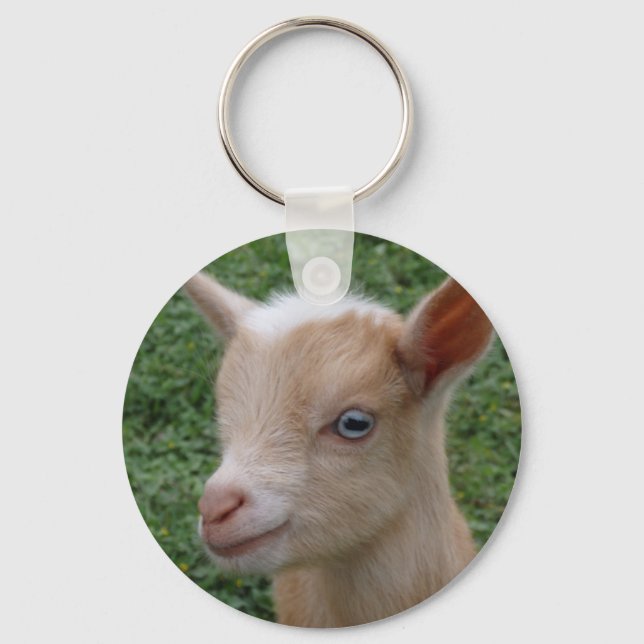 Nigerian Dwarf Goat Kid with Blue Eyes Key Ring (Front)