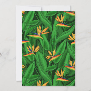 Night bird of paradise garden