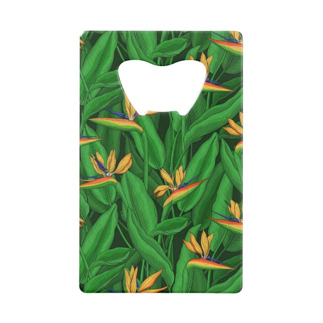 Night bird of paradise garden (Front)