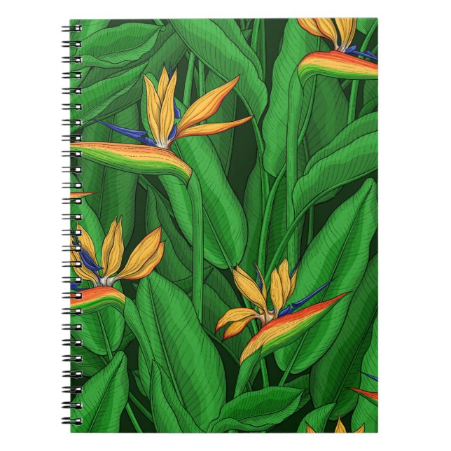Night bird of paradise garden notebook (Front)