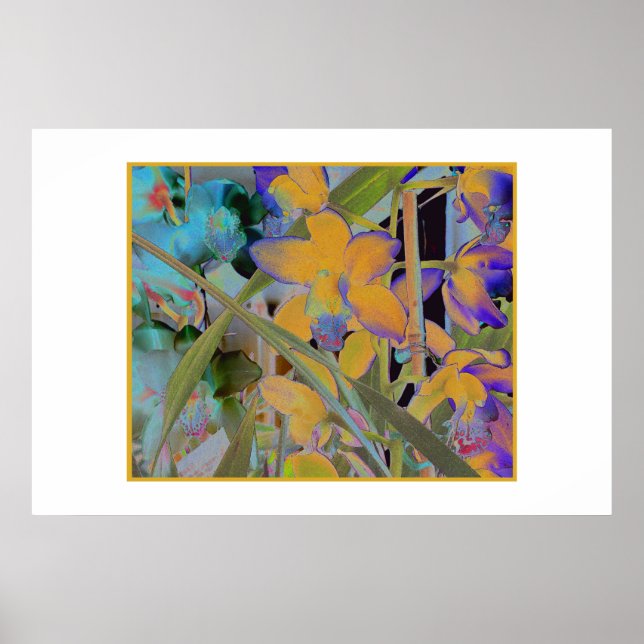 Night Bloom Poster (Front)