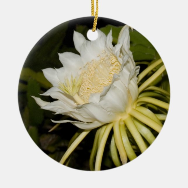 Night blooming cereus flower ornament. ceramic tree decoration (Front)