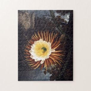 Night-blooming Cereus Puzzle