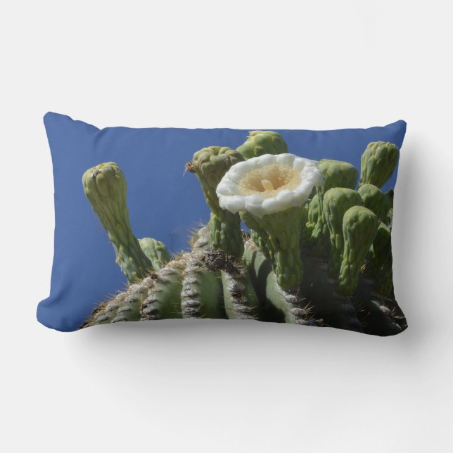 Night-Blooming Wonder: Saguaro Flower Throw Pillow (Front)