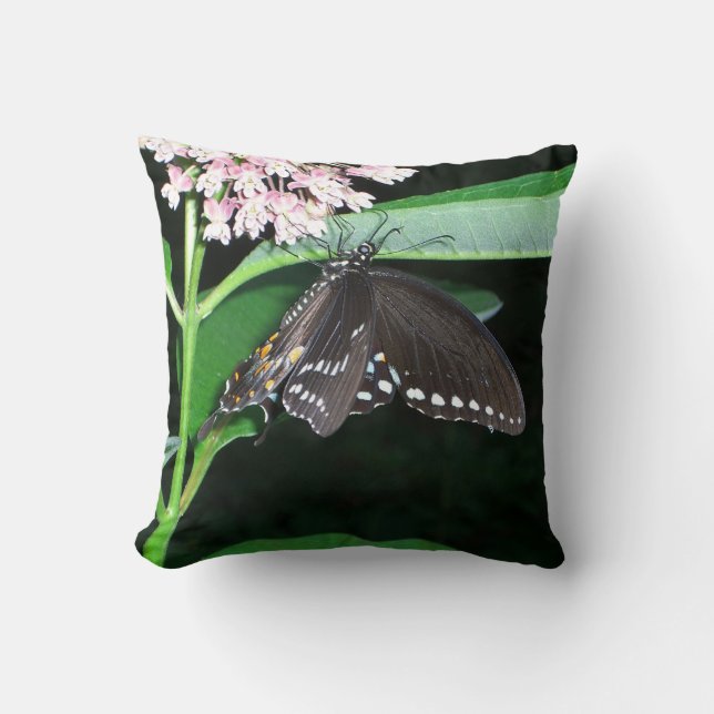 Night Butterfly Black Swallowtail at Shenandoah Cushion (Front)