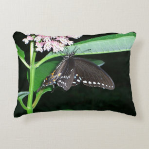 Night Butterfly Black Swallowtail at Shenandoah Decorative Cushion