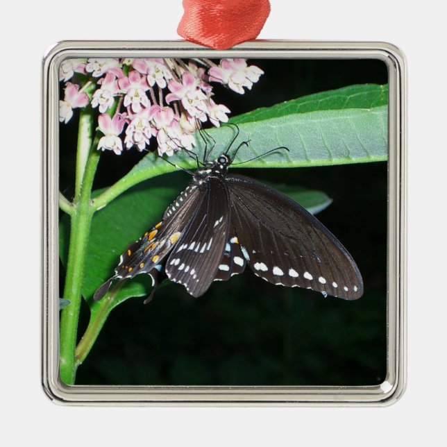 Night Butterfly Black Swallowtail at Shenandoah Metal Tree Decoration (Front)