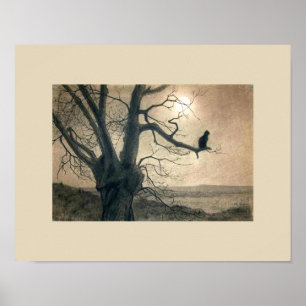 Night Cat in Tree Poster