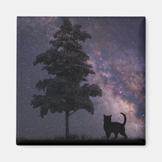 Night Cat Magnet
