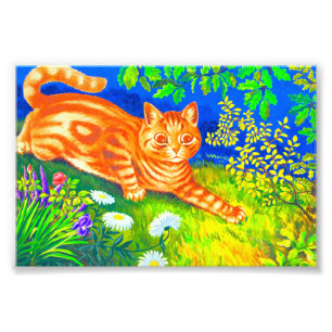 Night Cat Photo Print