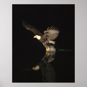 NIGHT EAGLE POSTER