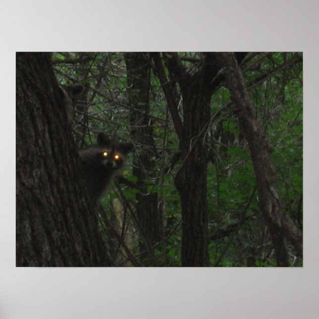 Night Eyes Poster (Front)