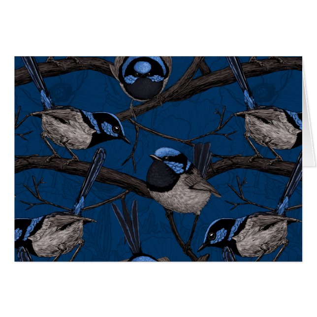 Night fairy wrens (Front Horizontal)