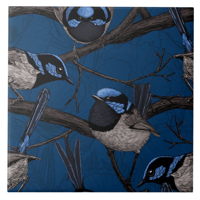 Night fairy wrens tile (Front)
