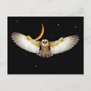 "Night Flight" Postcard