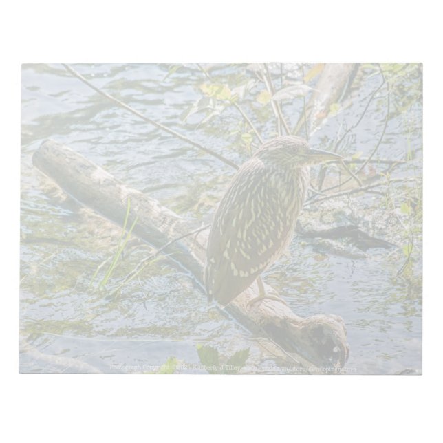Night Heron jv Notepad (Front)
