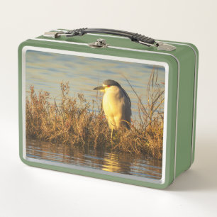 Night Heron Lunch Box   Golden Marsh Wildlife