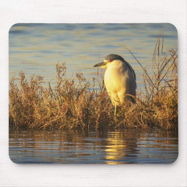 Night Heron Mousepad | Golden Marsh Shorebird Art (Front)