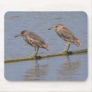 Night Herons Mouse Pad