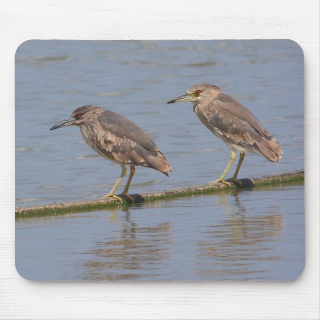 Night Herons Mouse Pad (Front)