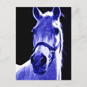 Night Horse Postcard
