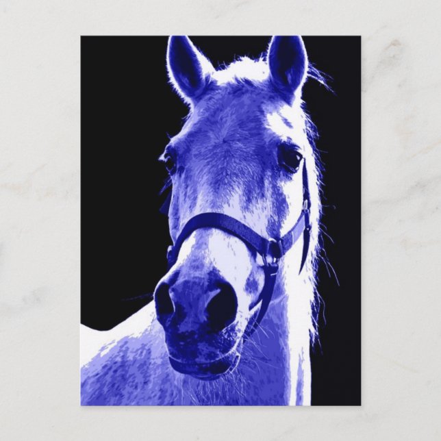Night Horse Postcard (Front)