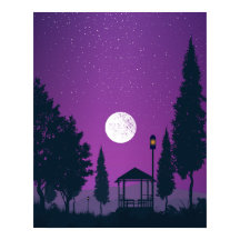 Night Image with a beautiful moon