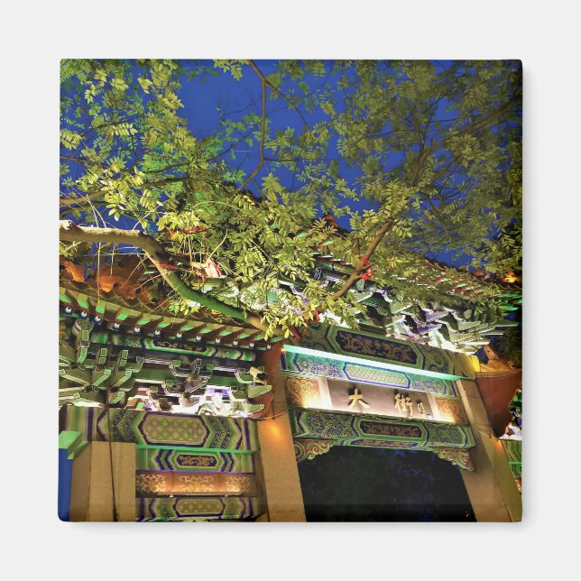 Night in China Magnet (Front)