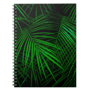 Night in tropical rainforest. Palm leaves lit with Notebook