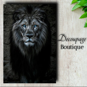 Night King Tissue Paper