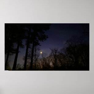 Night Light, Poster